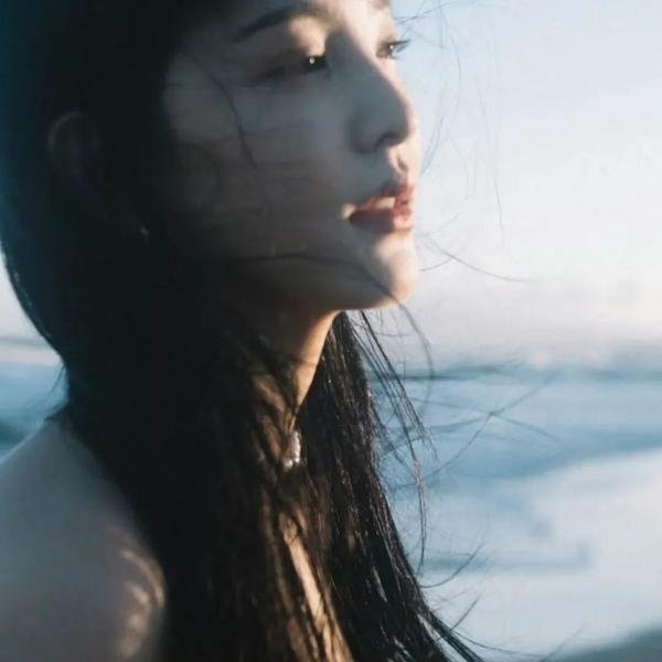 盗影谜情